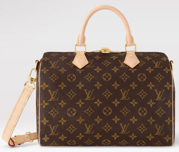 Louis Vuitton Nano Speedy – Monogram Canvas
