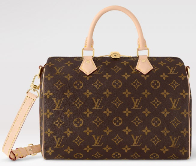 Louis Vuitton Nano Speedy – Monogram Canvas